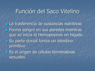 Función del Saco Vitelino
 La trasferencia de sustancias nutritivas
 Forma sangre en sus paredes mientras
que se inicia la Hemopoyesis en hígado
 Su parte dorsal forma un intestino
primitivo
 Es el origen de células terminativas
sexuales
 