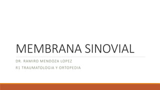 MEMBRANA SINOVIAL
DR. RAMIRO MENDOZA LOPEZ
R1 TRAUMATOLOGIA Y ORTOPEDIA
 
