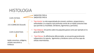 MEMBRANA SINOVIAL.pptx