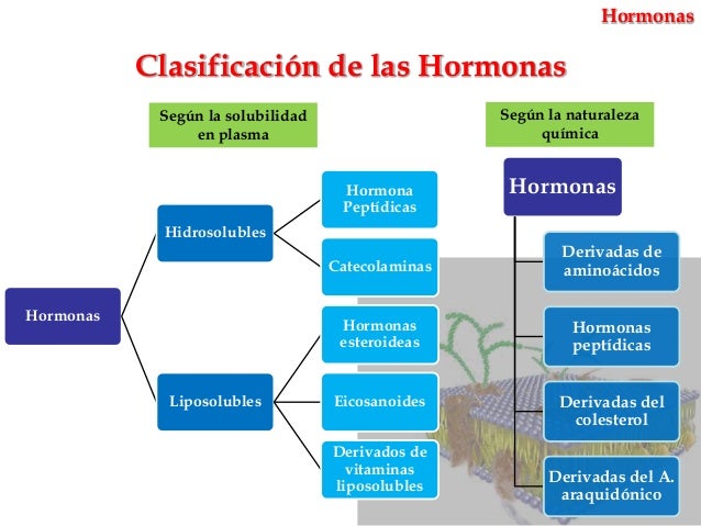 Membranas, Receptores y Hormonas - Fabián Rodríguez