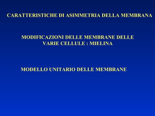 CARATTERISTICHE DI ASIMMETRIA DELLA MEMBRANA MODIFICAZIONI DELLE MEMBRANE DELLE VARIE CELLULE : MIELINA MODELLO UNITARIO DELLE MEMBRANE 
