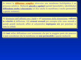 In sintesi la  diffusione semplice  attraverso una membrana fosfolipidica è un processo selettivo. Molecole  piccole e apolari  (quindi liposolubili e idrofobiche)  diffondono molto velocemente  (si dice anche la membrana è molto permeabile a queste sostanze).  Al  diminuire dell’affinità con i lipidi  e all’ aumentare della dimensione ,  rallenta la velocità  di diffusione. Gli  ormoni sessuali  per esempio (che sono steroidi e quindi grandi molecole affini al colesterolo)  impiegano ore  per penetrare in tutte le cellule Gli  ioni  infine diffondono così lentamente che per la maggior parte dei processi si può considerare che la membrana sia  non permeabile  a queste molecole 
