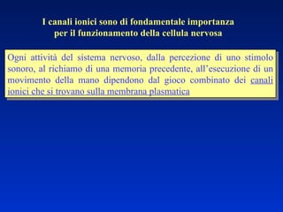 I canali ionici sono di fondamentale importanza per il funzionamento della cellula nervosa Ogni attività del sistema nervoso, dalla percezione di uno stimolo sonoro, al richiamo di una memoria precedente, all’esecuzione di un movimento della mano dipendono dal gioco combinato dei  canali ionici che si trovano sulla membrana plasmatica 