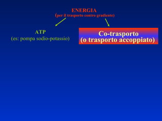 ENERGIA ( per il trasporto contro gradiente) ATP (es: pompa sodio-potassio) Co-trasporto (o trasporto accoppiato)   