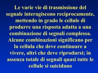 Le varie vie di trasmissione del segnale interagiscono reciprocamente, mettendo in grado le cellule di produrre una risposta adatta a una combinazione di segnali complessa. Alcune combinazioni significano per la cellula che deve continuare a vivere, altri che deve riprodursi; in assenza totale di segnali quasi tutte le cellule si suicidano 