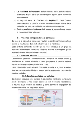    La velocidad de transporte de la molécula a través de la membrana
       es mucho mayor de lo que cabría esperar a partir de un modelo de
       difusión simple.
      En segundo lugar, el       proceso       es   específico, cada proteína
       relacionada con la difusión facilitada transporta sólo un tipo de ión o
       molécula o un grupo de moléculas estrechamente relacionadas.
      Existe una velocidad máxima de transporte que se alcanza cuando
       el transportador está saturado.


       2.1. Proteínas transportadoras o permeasas
Se unen a la molécula a transportar y sufren un cambio conformacional que
permite la transferencia de la molécula a través de la membrana.
Cada proteína transporta un solo tipo de ión o molécula o un grupo de
moléculas relacionadas. Existe una velocidad máxima de transporte que se
alcanza cuando el transportador está saturado.
       2.2. Proteínas de canal.-
Determinadas proteínas transmembranales atraviesan la bicapa lipídica y
delimitan en su interior un orificio o canal que permite el paso de algunos
solutos de pequeño tamaño generalmente iones.
Estos canales iónicos constituyen “puertas de entrada” a la célula y pueden
estar permanentemente abiertos o hacerlo sólo tansitoriamente y son por ello
canales regulados.
             2.2.1.Canales regulados por voltajes.
Se abren en respuesta a los cambios de potencial de membrana, como ocurre
con los canales de sodio y potasio localizados en la membrana plasmática de
la neurona cuya sucesión de apertura y cierre permite la propagación del
potencial de acción a lo largo de los axones.
 
