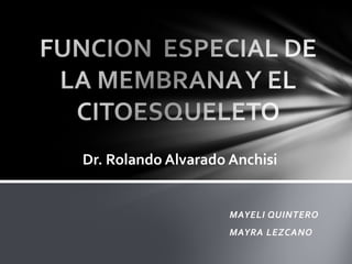 MAYELI QUINTERO
MAYRA LEZCANO
Dr. Rolando Alvarado Anchisi
 
