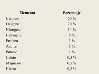 Elemento Porcentaje
Carbono 50 %
Oxígeno 20 %
Nitrógeno 14 %
Hidrógeno 8 %
Fósforo 3 %
Azufre 1 %
Potasio 1 %
Calcio 0,5 %
Magnesio 0,5 %
Hierro 0,2 %
 