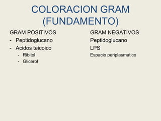 COLORACION GRAM
(FUNDAMENTO)
GRAM POSITIVOS GRAM NEGATIVOS
- Peptidoglucano Peptidoglucano
- Acidos teicoico LPS
- Ribitol Espacio periplasmatico
- Glicerol
 