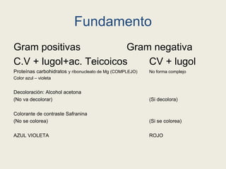 Fundamento
Gram positivas Gram negativa
C.V + lugol+ac. Teicoicos CV + lugol
Proteínas carbohidratos y ribonucleato de Mg (COMPLEJO) No forma complejo
Color azul – violeta
Decoloración: Alcohol acetona
(No va decolorar) (Si decolora)
Colorante de contraste Safranina
(No se colorea) (Si se colorea)
AZUL VIOLETA ROJO
 