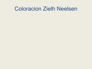 Coloracion Zielh Neelsen
 