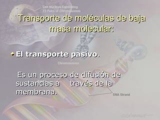 Transporte de moléculas de baja
       masa molecular:

El transporte pasivo.

Es un proceso de difusión de
sustancias a través de la
membrana.
 