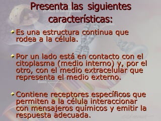 Presenta las siguientes
       características:
Es una estructura continua que
rodea a la célula.

Por un lado está en contacto con el
citoplasma (medio interno) y, por el
otro, con el medio extracelular que
representa el medio externo.

Contiene receptores específicos que
permiten a la célula interaccionar
con mensajeros químicos y emitir la
respuesta adecuada.
 