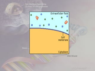 Membrana y transporte