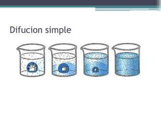 Difucion simple
 