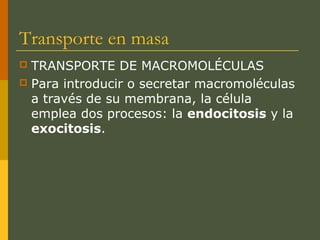 Transporte en masa
 TRANSPORTE DE MACROMOLÉCULAS
 Para introducir o secretar macromoléculas
a través de su membrana, la célula
emplea dos procesos: la endocitosis y la
exocitosis.
 