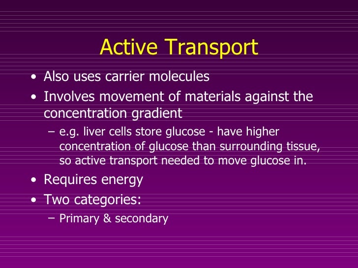 How do animal cells store glucose for later?