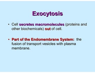 Membrane | PDF