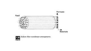 Membrane Preformative Membrane.pptx