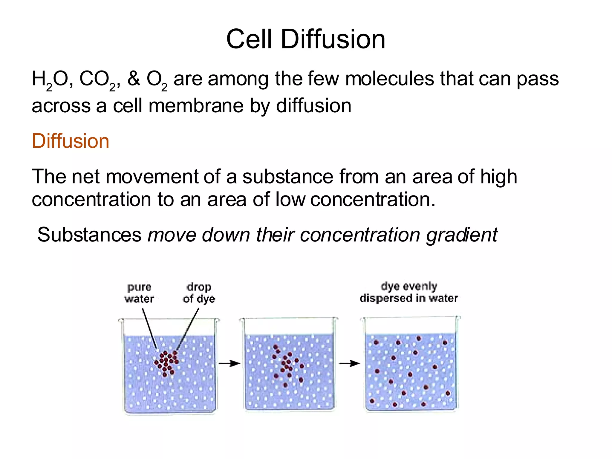 Cell Diffusion H 2 O, CO 2 , & O 2  are among the few molecules that can pass across a cell membrane by diffusion Diffusion The net movement of a substance from an area of high concentration to an area of low concentration. Substances  move down their concentration gradient 
