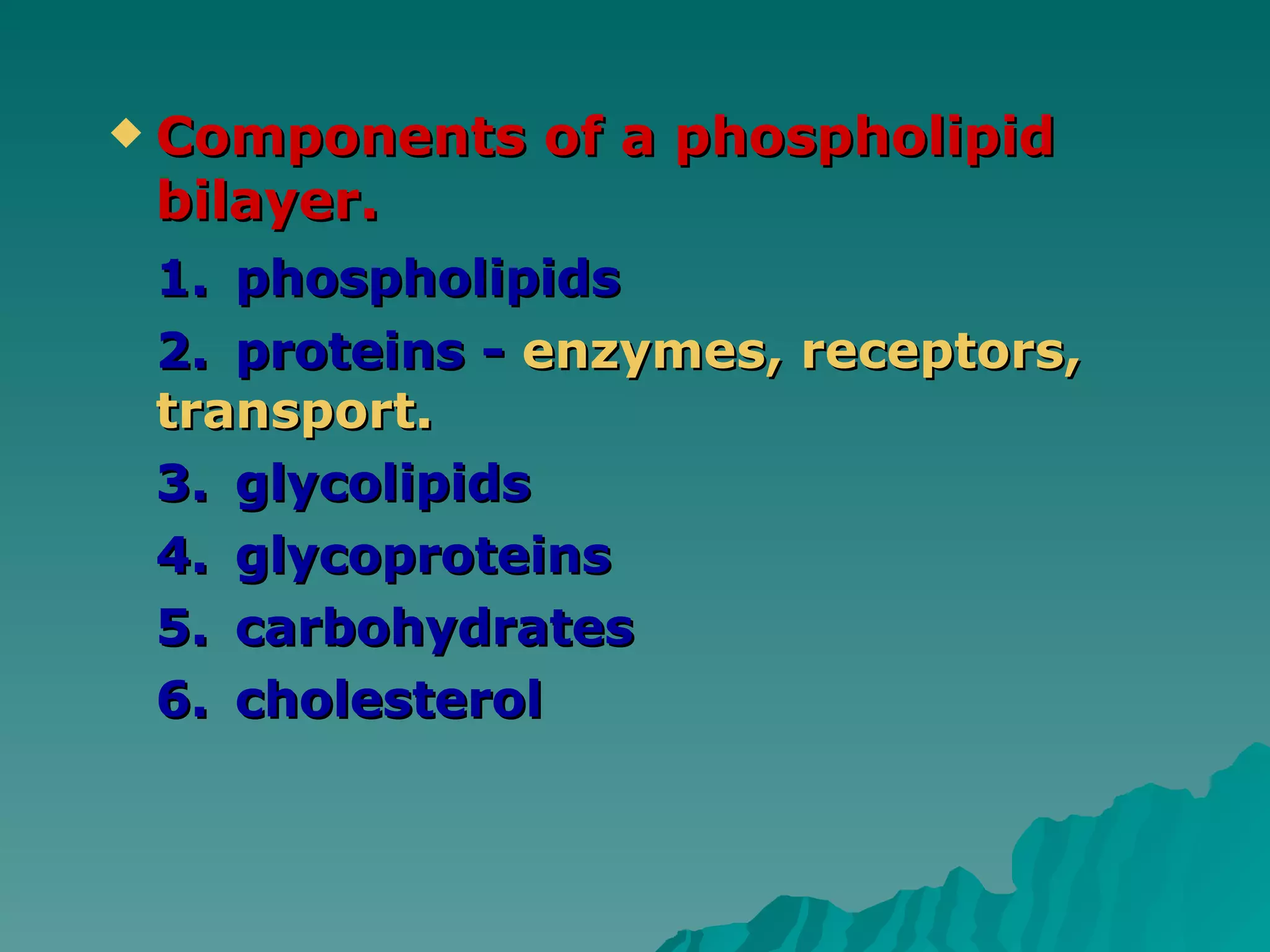 Components of a phospholipid bilayer. 1. phospholipids 2. proteins -  enzymes, receptors, transport. 3. glycolipids 4. glycoproteins 5. carbohydrates 6. cholesterol 