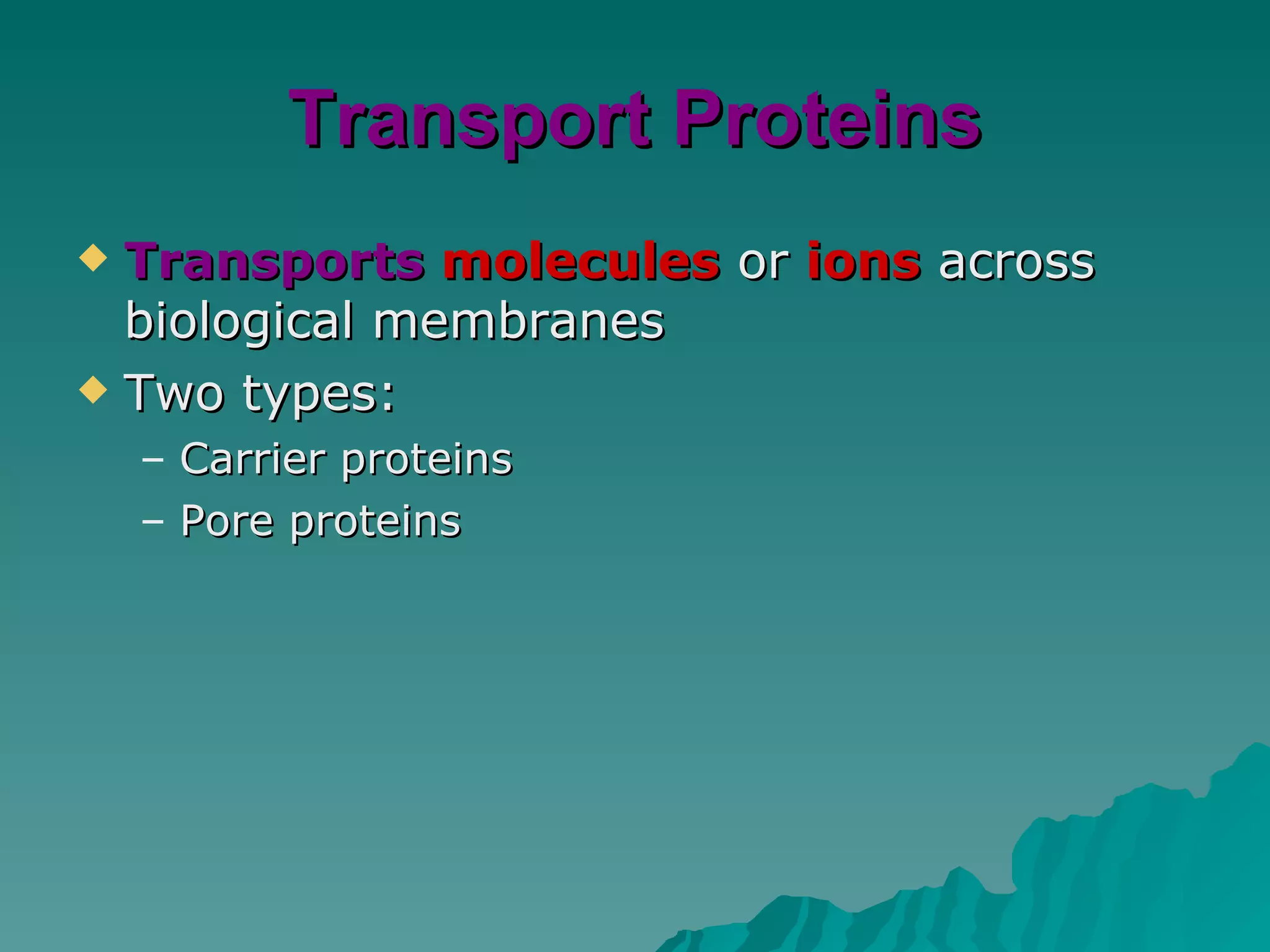 Transport Proteins Transports  molecules  or  ions  across biological membranes Two types: Carrier proteins Pore proteins 
