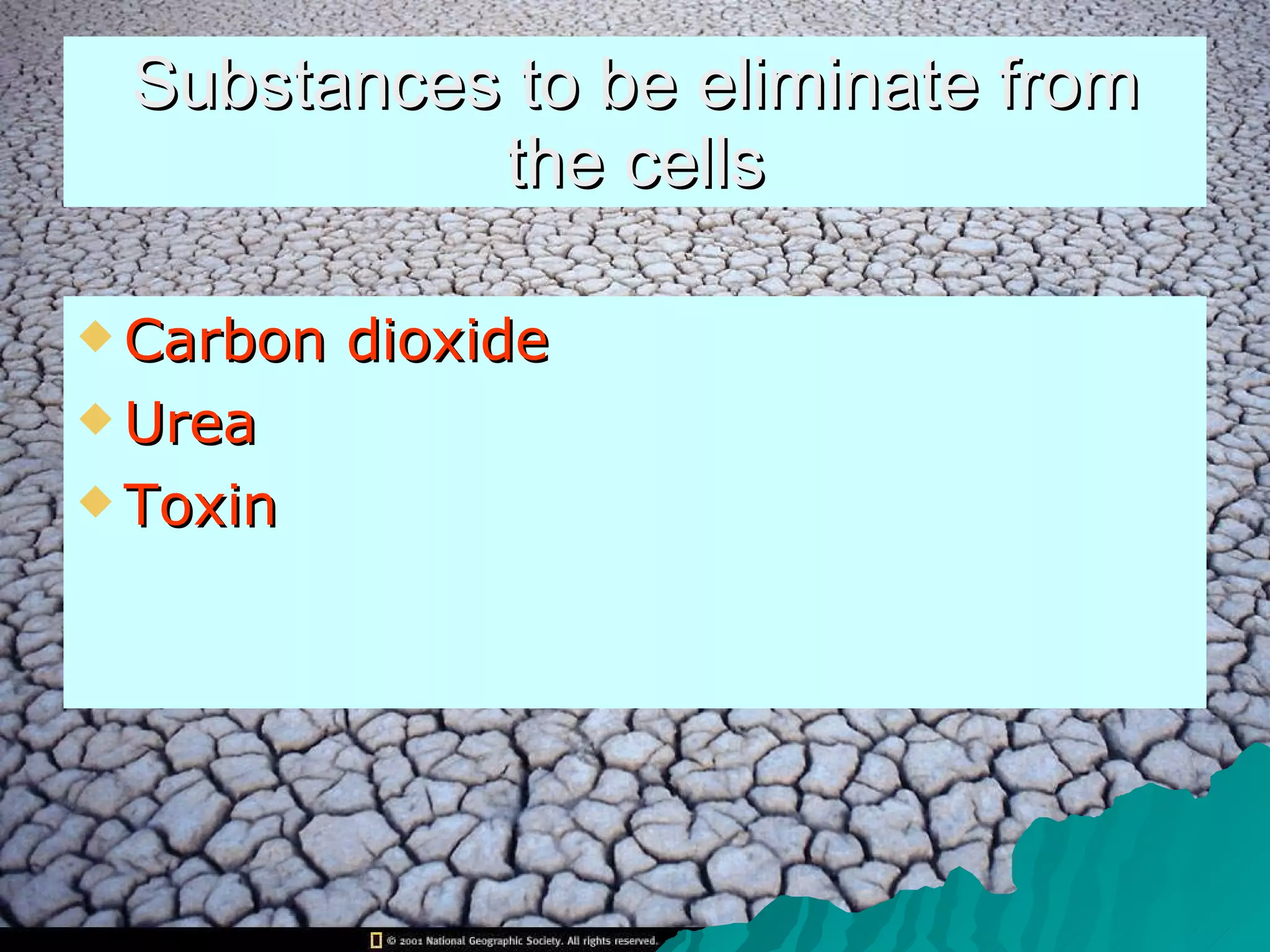 Substances to be eliminate from the cells Carbon dioxide Urea  Toxin   