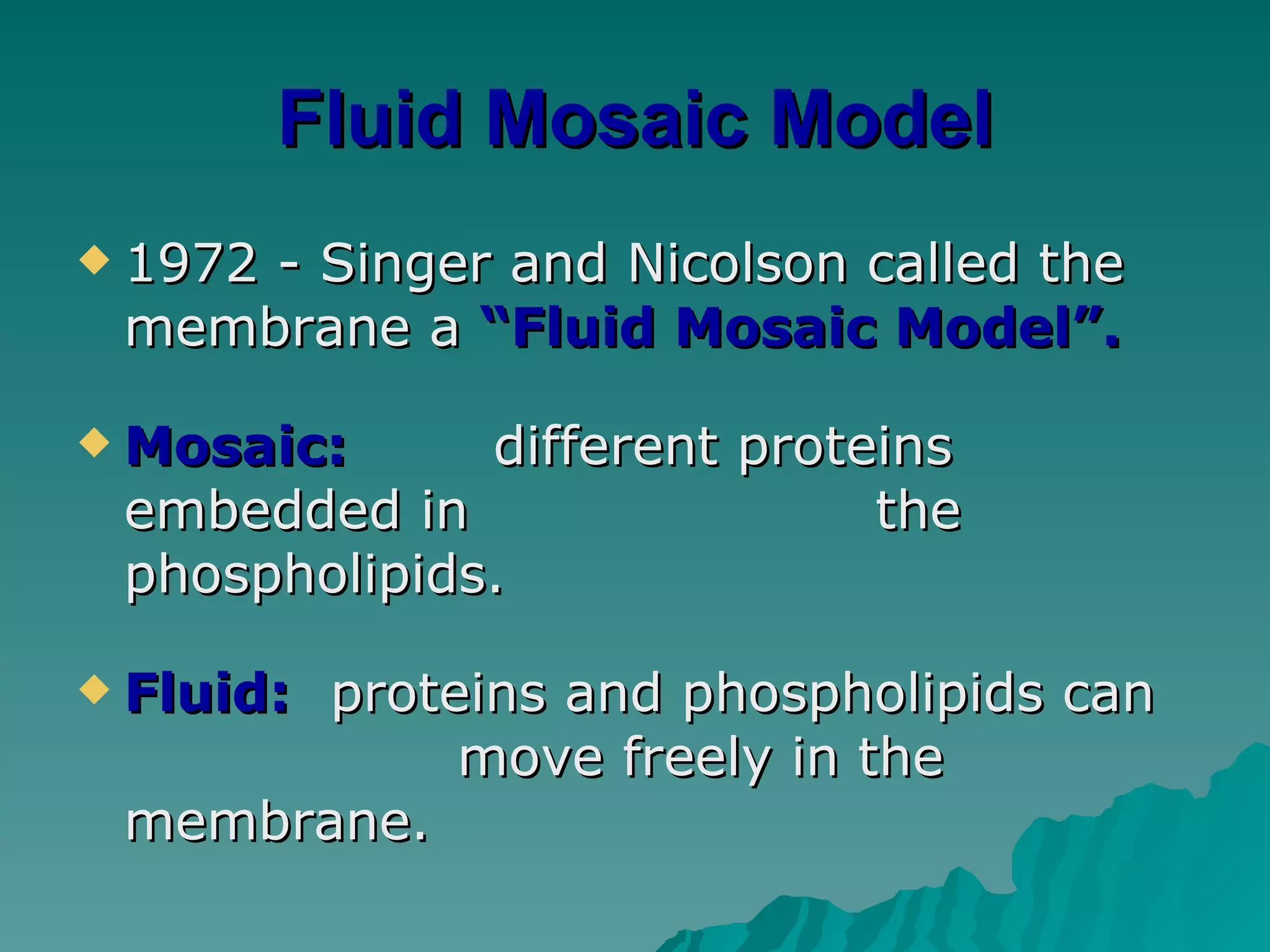 Fluid Mosaic Model 1972 - Singer and Nicolson called the membrane a  “Fluid Mosaic Model”. Mosaic:   different proteins embedded in    the phospholipids. Fluid: proteins and phospholipids can  move freely in the membrane. 
