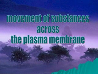 movement of substances  across  the plasma membrane 