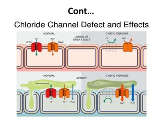 Membrane Deficiency Membrane and extracellular matrix diseases | PPTX