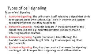 Membrane and nerve physiology part 1 for Nursing students May 2024.pptx