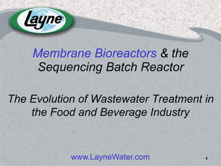 Membrane Bioreactors  & the Sequencing Batch Reactor www.LayneWater.com The Evolution of Wastewater Treatment in the Food and Beverage Industry 