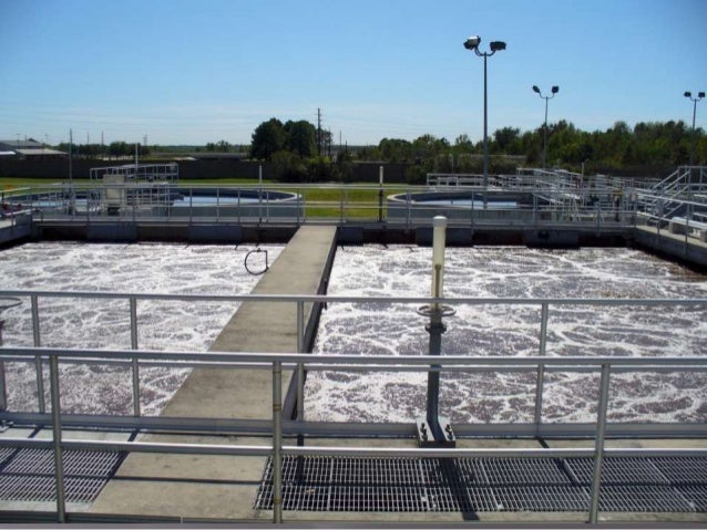 types of bioreactor for wastewater treatment