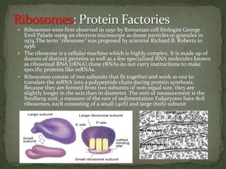  Ribosomes were first observed in 1950 by Romanian cell biologist George
Emil Palade using an electron microscope as dense particles or granules in
1974.The term "ribosome" was proposed by scientist Richard B. Roberts in
1958.
 The ribosome is a cellular machine which is highly complex. It is made up of
dozens of distinct proteins as well as a few specialized RNA molecules known
as ribosomal RNA (rRNA).these rRNAs do not carry instructions to make
specific proteins like mRNAs.
 Ribosomes consist of two subunits that fit together and work as one to
translate the mRNA into a polypeptide chain during protein synthesis.
Because they are formed from two subunits of non-equal size, they are
slightly longer in the axis than in diameter. The unit of measurement is the
Svedberg unit, a measure of the rate of sedimentation Eukaryotes have 80S
ribosomes, each consisting of a small (40S) and large (60S) subunit
 