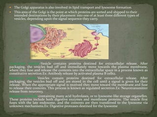  The Golgi apparatus is also involved in lipid transport and lysosome formation.
 This area of the Golgi is the point at which proteins are sorted and shipped to their
intended destinations by their placement into one of at least three different types of
vesicles, depending upon the signal sequence they carry.
.Exocytotic vesicles-Vesicle contains proteins destined for extracellular release. After
packaging, the vesicles bud off and immediately move towards the plasma membrane,
where they fuse and release the contents into the extracellular space in a process known as
constitutive secretion.Ex: Antibody release by activated plasma B cells2.
Secretory vesicle-Vesicles contain proteins destined for extracellular release. After
packaging, the vesicles bud off and are stored in the cell until a signal is given for their
release. When the appropriate signal is received they move toward the membrane and fuse
to release their contents. This process is known as regulated secretion.Ex: Neurotransmitter
release from neurons3.
Lysosomal vesicles-containing many acid hydrolases, or to lysosome-like storage organelles.
These proteins include both digestive enzymes and membrane proteins. The vesicle first
fuses with the late endosome, and the contents are then transferred to the lysosome via
unknown mechanisms.Ex: Digestive proteases destined for the lysosome
 