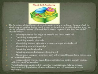  The function and significance of vacuoles varies greatly according to the type of cell in
which they are present, having much greater prominence in the cells of plants, fungi and
certain protists than those of animals and bacteria. In general, the functions of the
vacuole include:
1. • Isolating materials that might be harmful or a threat to the cell
2. • Containing waste products
3. • Containing water in plant cells
4. • Maintaining internal hydrostatic pressure or turgor within the cell
5. • Maintaining an acidic internal pH
6. • Containing small molecules
7. • Exporting unwanted substances from the cell
8. • Allows plants to support structures such as leaves and flowers due to the pressure
of the central vacuole
9. • In seeds, stored proteins needed for germination are kept in 'protein bodies',
which are modified vacuoles.
10. Vacuoles also play a major role in autophagy, maintaining a balance between
biogenesis and degradation, of many substances and cell structures in certain
organisms.
 