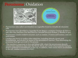  Peroxisomes (also called microbodies) are organelles found in virtually all eukaryotic
cells.
 Peroxisomes were identified as organelles by the Belgian cytologist Christian de Duve in
1967.after they had been first described by a Swedish doctoral student, J. Rhodin in 1954.
 Peroxisomes contain oxidative enzymes, such as catalase, D-amino acid oxidase, and uric
acid oxidase.
 Catalase uses H2O2 to oxidize other substrates, including phenols, formic acid,
formaldehyde, and alcohol, by means of the peroxidation reaction. Thus eliminating the
poisonous hydrogen peroxide in the process.
 This reaction is important in liver and kidney cells, where the peroxisomes detoxify
various toxic substances that enter the blood. About 25% of the ethanol alcohol humans
drink is oxidized to acetaldehyde in this way. In addition, when excess H2O2 accumulates
in the cell, catalase converts it to H2O.
 