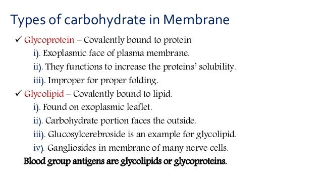 Membrane Carbohydrate And Their Significance In Cellular Recognition