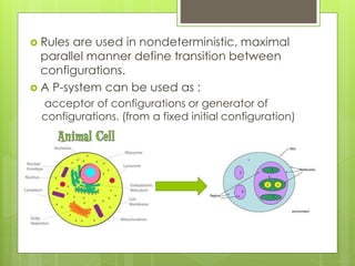 Membrane computing | PPTX