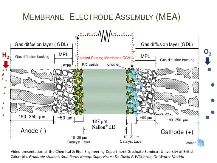 Membrane electrode assembly animation