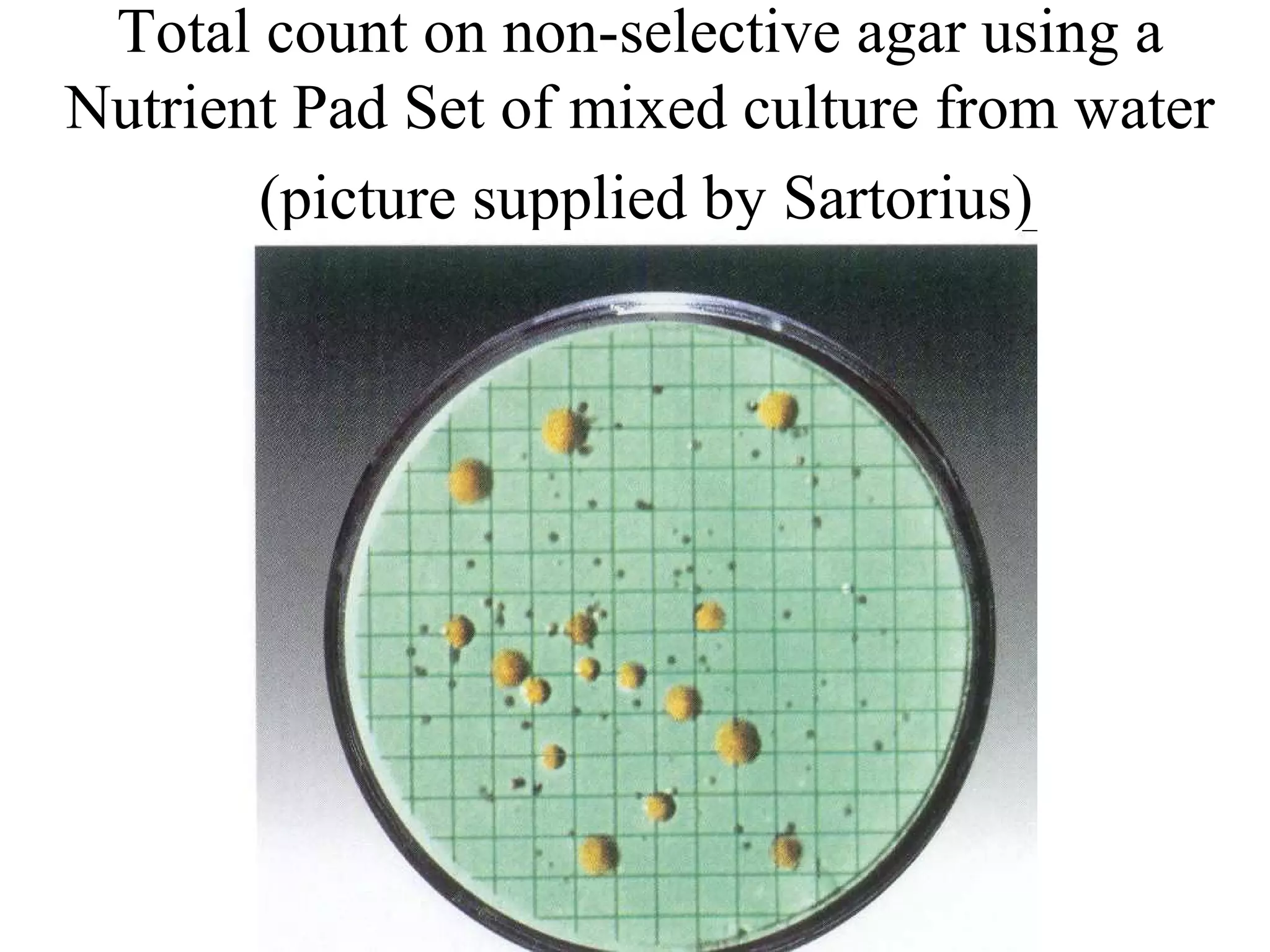 Membrane filtration PPT
