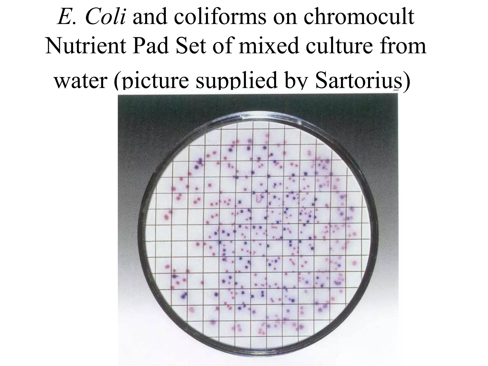 Membrane filtration PPT