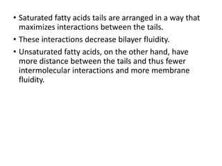 • Saturated fatty acids tails are arranged in a way that
maximizes interactions between the tails.
• These interactions decrease bilayer fluidity.
• Unsaturated fatty acids, on the other hand, have
more distance between the tails and thus fewer
intermolecular interactions and more membrane
fluidity.
 