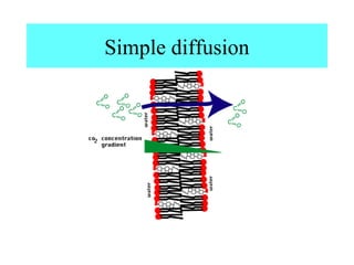Simple diffusion
 