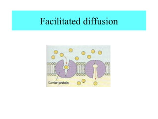 Facilitated diffusion
 