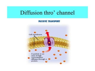 Diffusion thro’ channel
 
