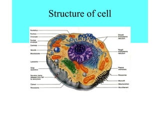 Structure of cell
 
