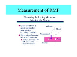 Measurement of RMP
 