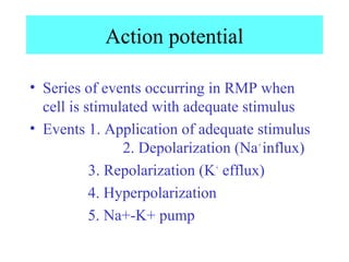 Action potential
• Series of events occurring in RMP when
cell is stimulated with adequate stimulus
• Events 1. Application of adequate stimulus
2. Depolarization (Na+
influx)
3. Repolarization (K+
efflux)
4. Hyperpolarization
5. Na+-K+ pump
 