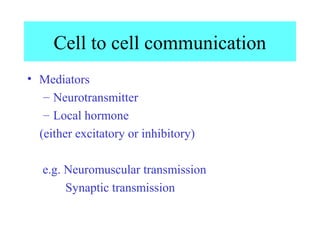 Cell to cell communication
• Mediators
– Neurotransmitter
– Local hormone
(either excitatory or inhibitory)
e.g. Neuromuscular transmission
Synaptic transmission
 
